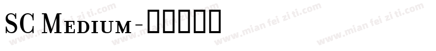 SC Medium字体转换